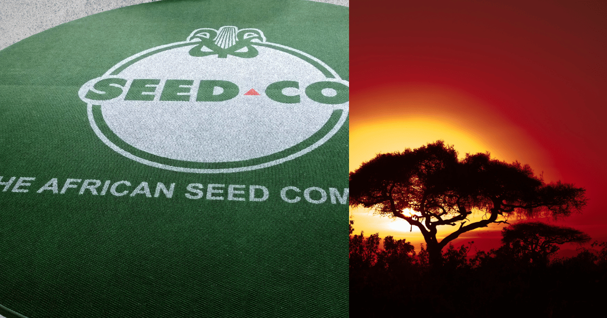 Mats4Africa - BrandMark Custom Logo Entrance Mat: Elevate Your Brand and Space